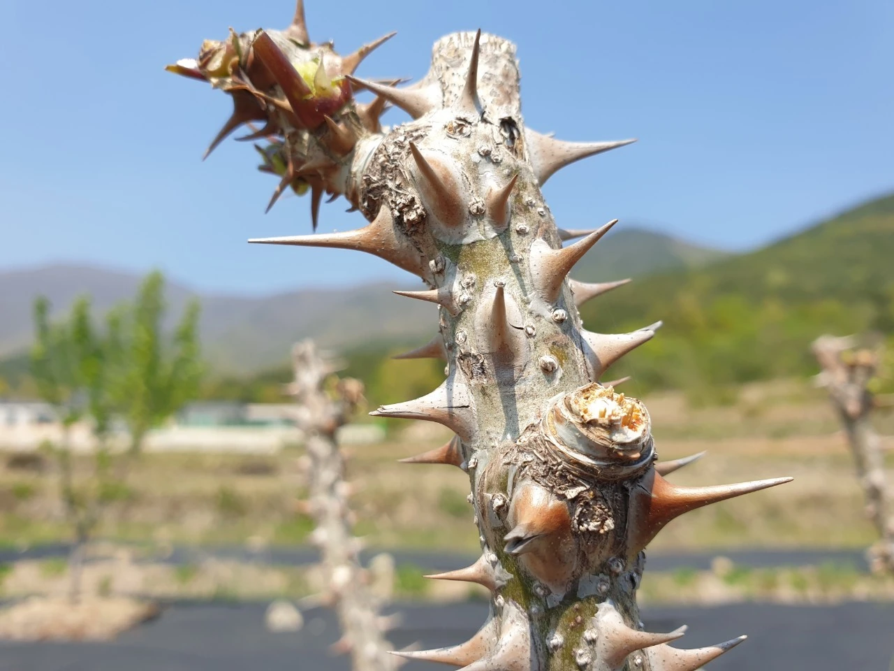 1_i70Ud018svch0qalzp03y9k_e9765c.jpg?type=e1920_std