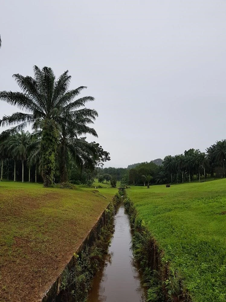 0_e6hUd018svc1aolsidz9bpf8_lv9ewt.jpg?type=e1920_std