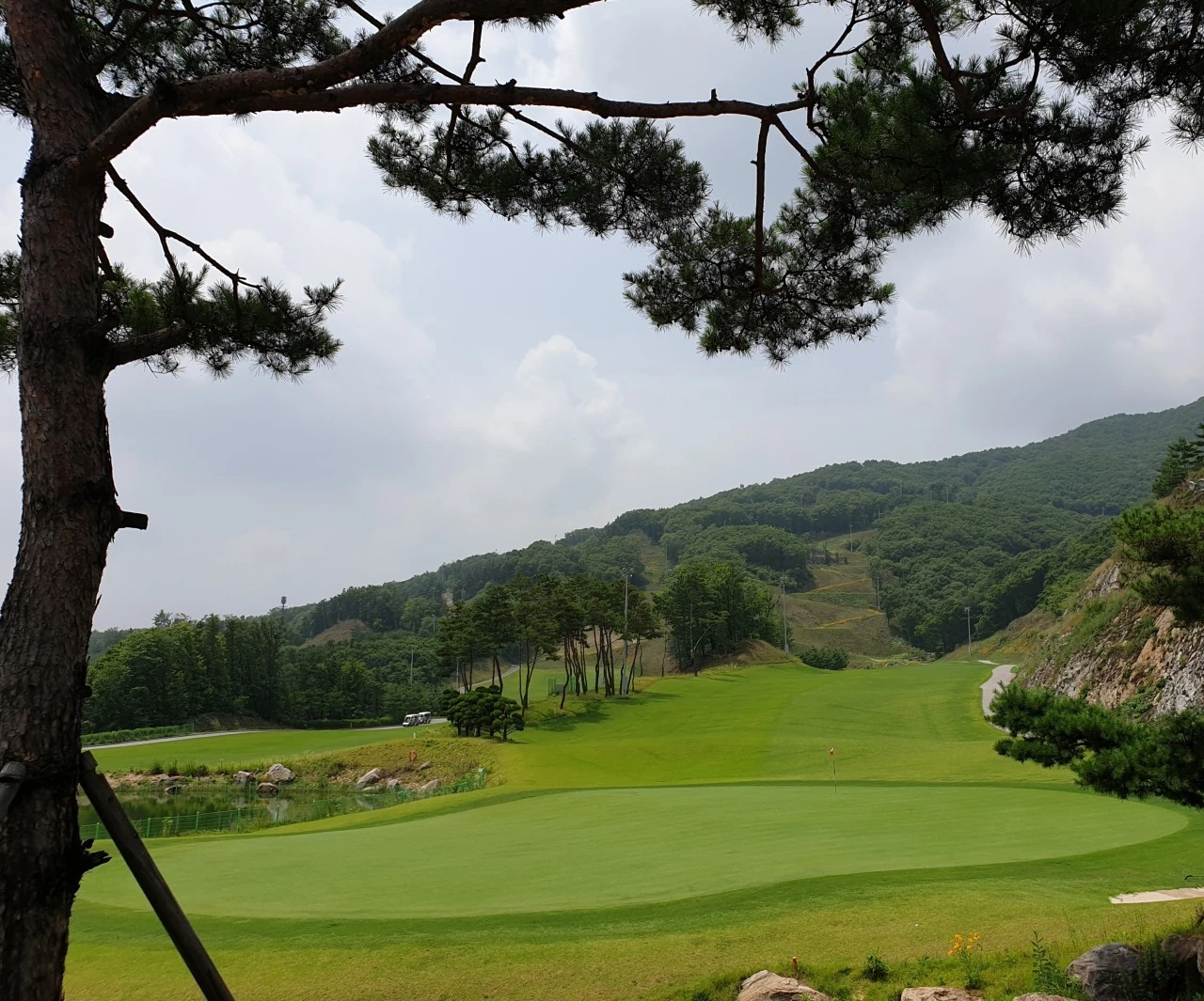 a_dj1Ud018svc1nonit3ai4e4d_e9765c.jpg?type=e1920_std