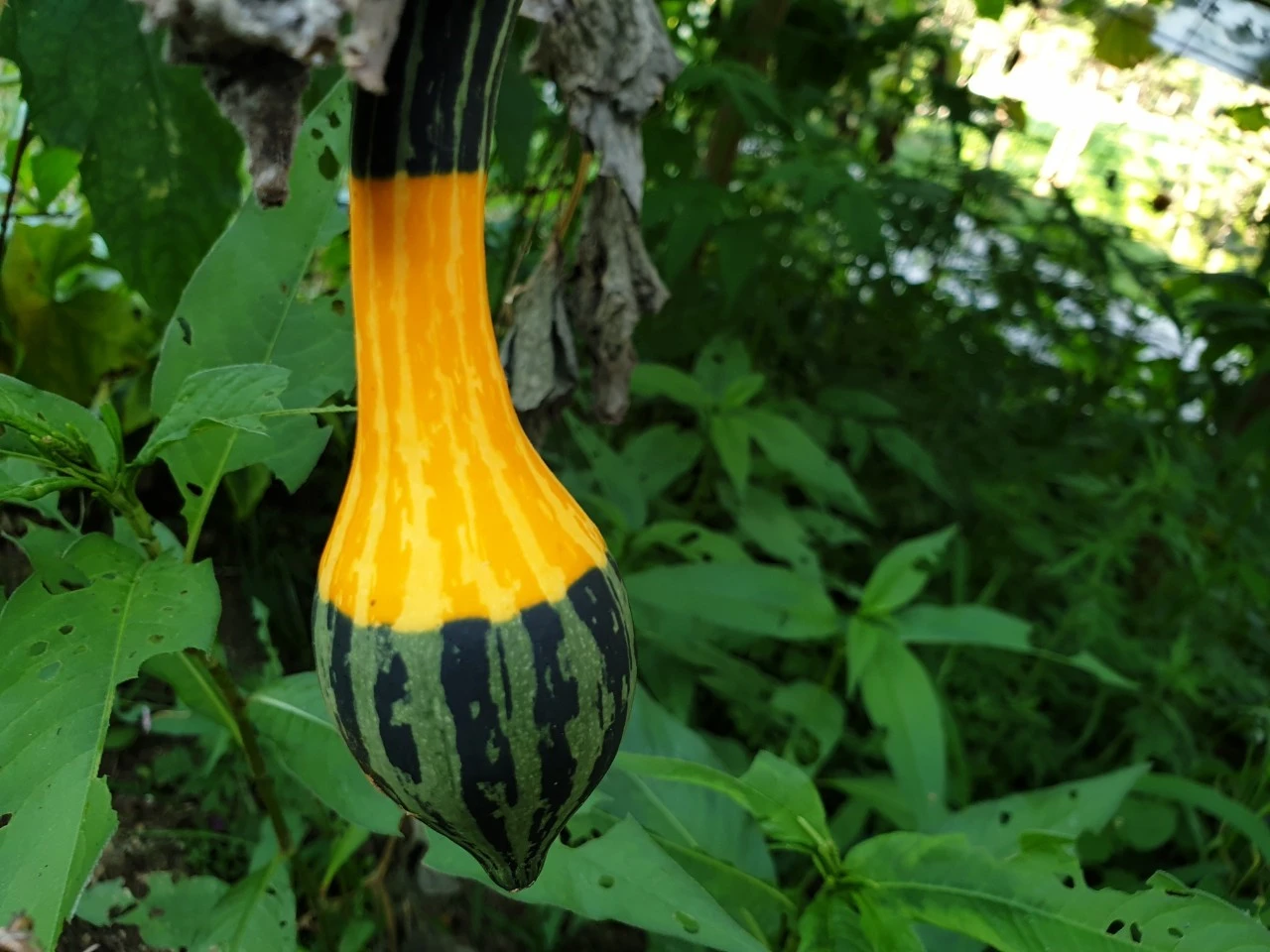 2_j9fUd018svc1k6le6xadju4a_e9765c.jpg?type=e1920_std