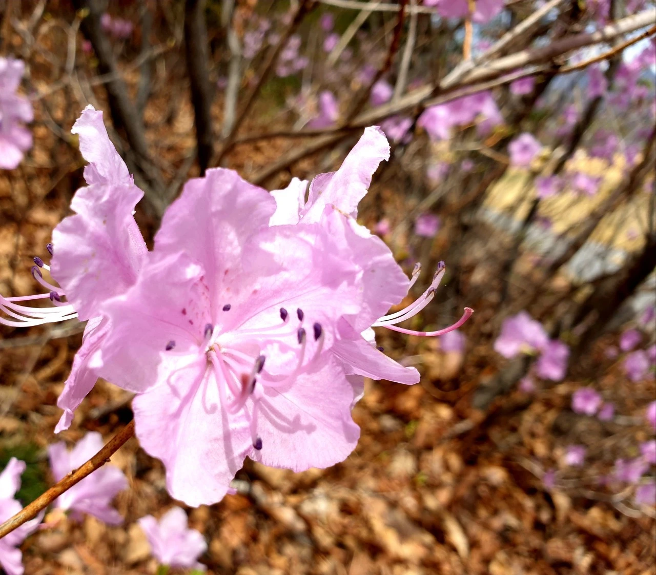 7_0adUd018svc1n2e489auitv_e9765c.jpg?type=e1920_std