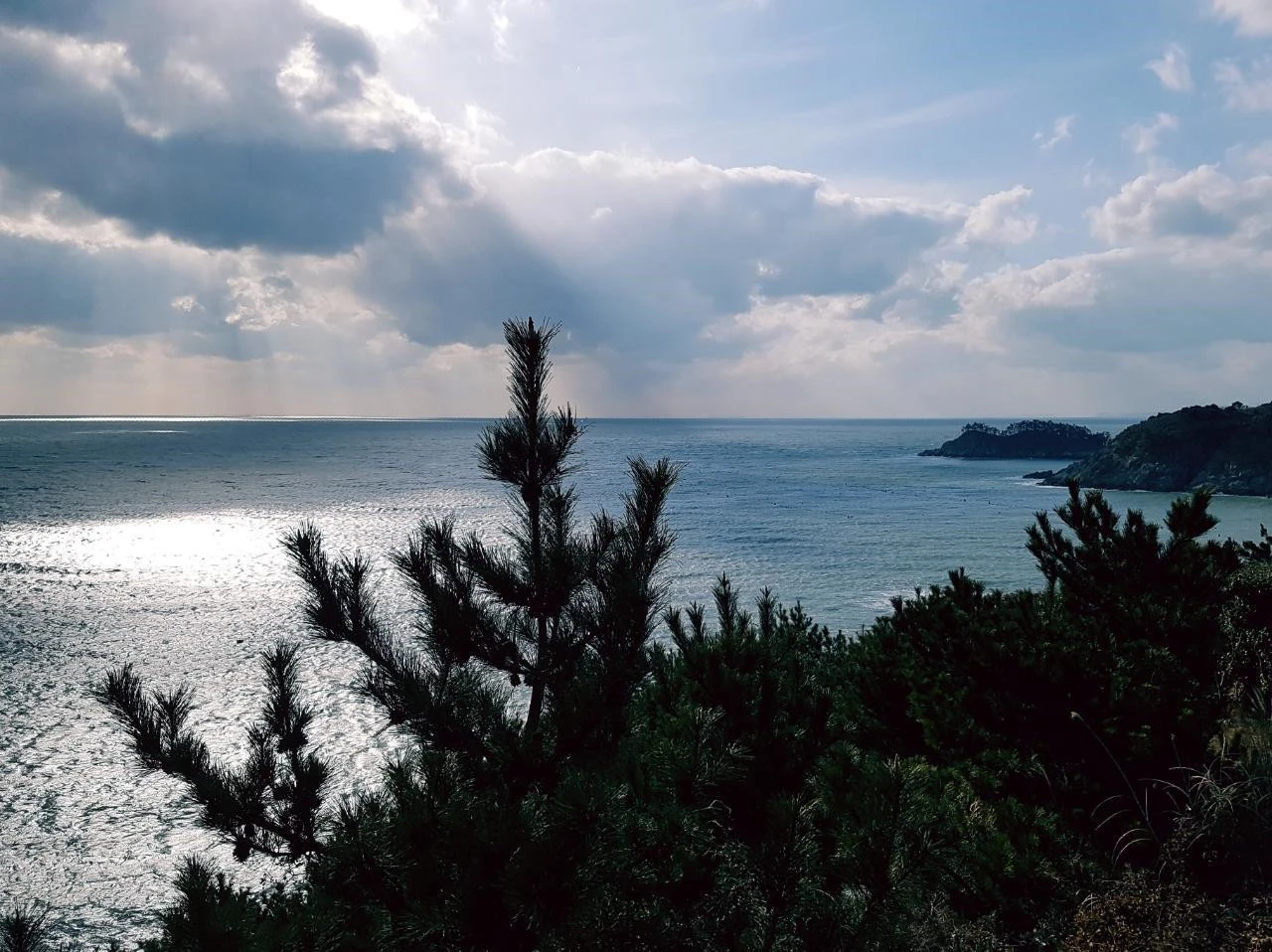 9_j0dUd018svcfx8vj82667rz_u20db.jpg?type=e1920_std