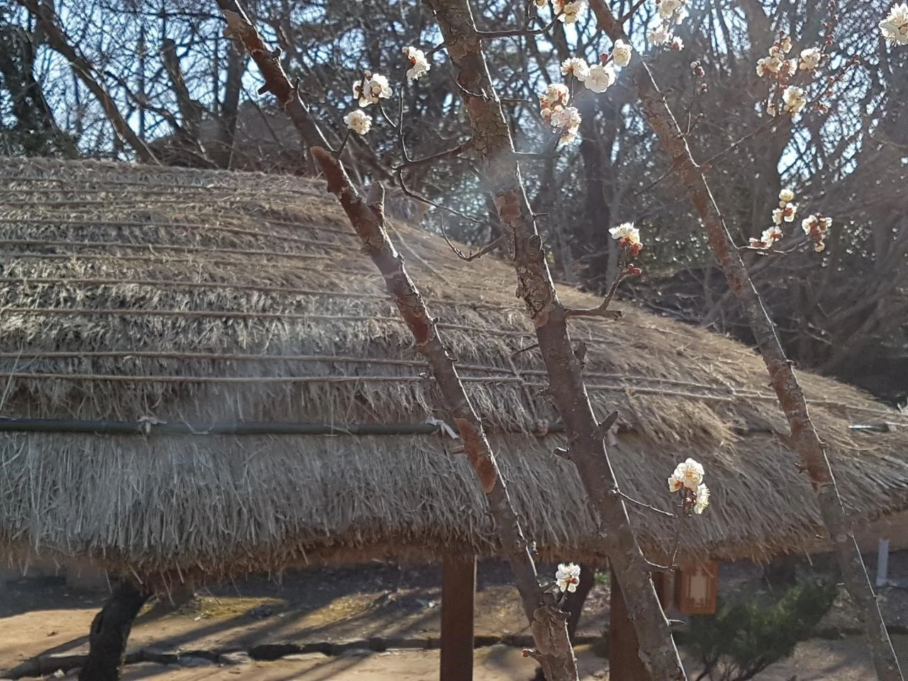 je3Ud016svc1p0pkvcg4ybny_kas5p8.jpg?type=e1920_std