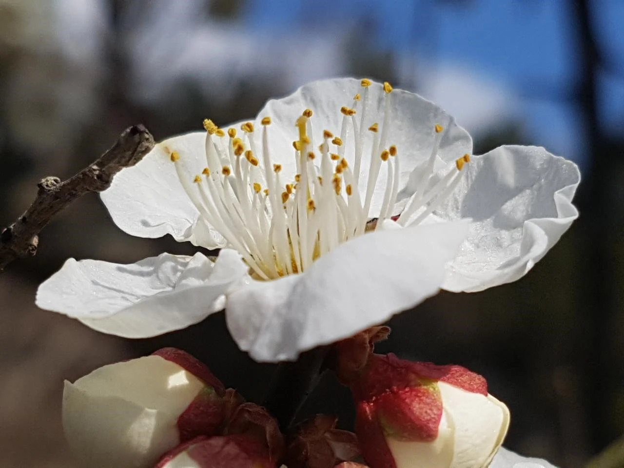 he9Ud016svc1499eh2r3yqec_bnmutt.jpg?type=e1920_std