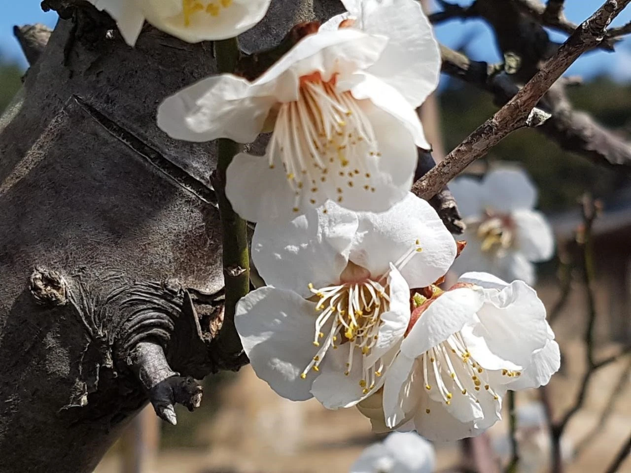 jedUd017svc1f1cz1qqnate6_utcpv.jpg?type=e1920_std