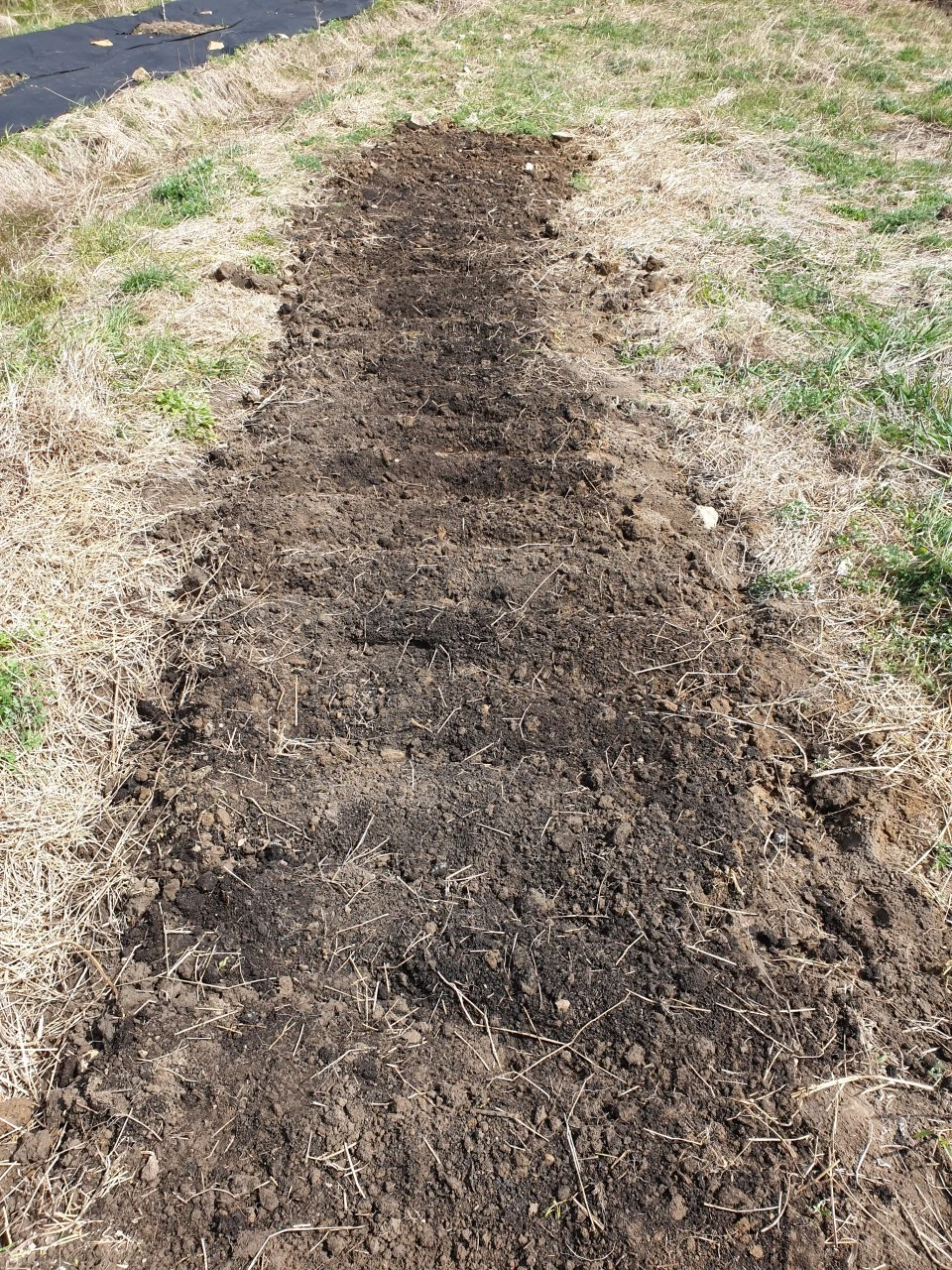 3_1jaUd018svc13mhn6to2oydz_e9765c.jpg?type=e1920_std