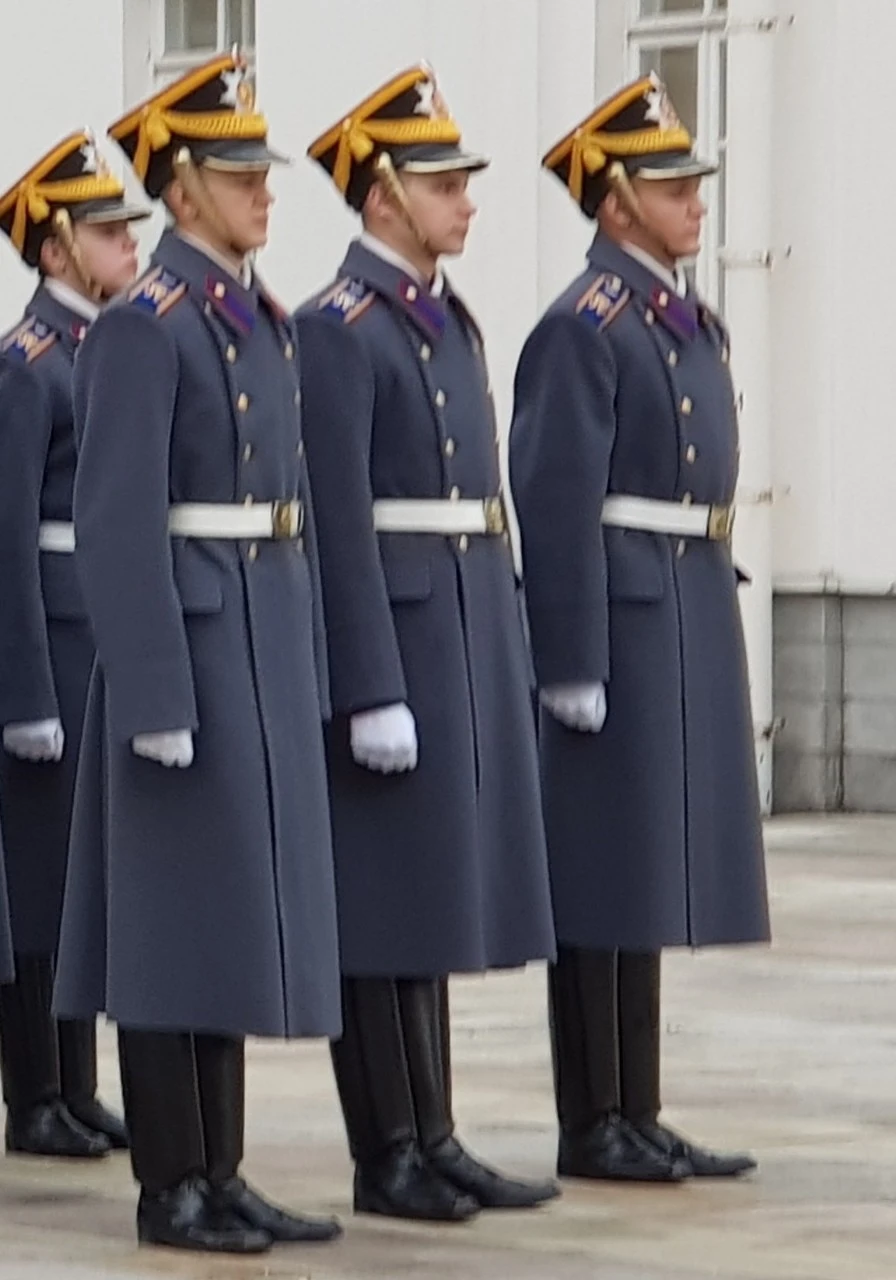 9_i7fUd018svc8glsbf1w8tyh_bnmutt.jpg?type=e1920_std