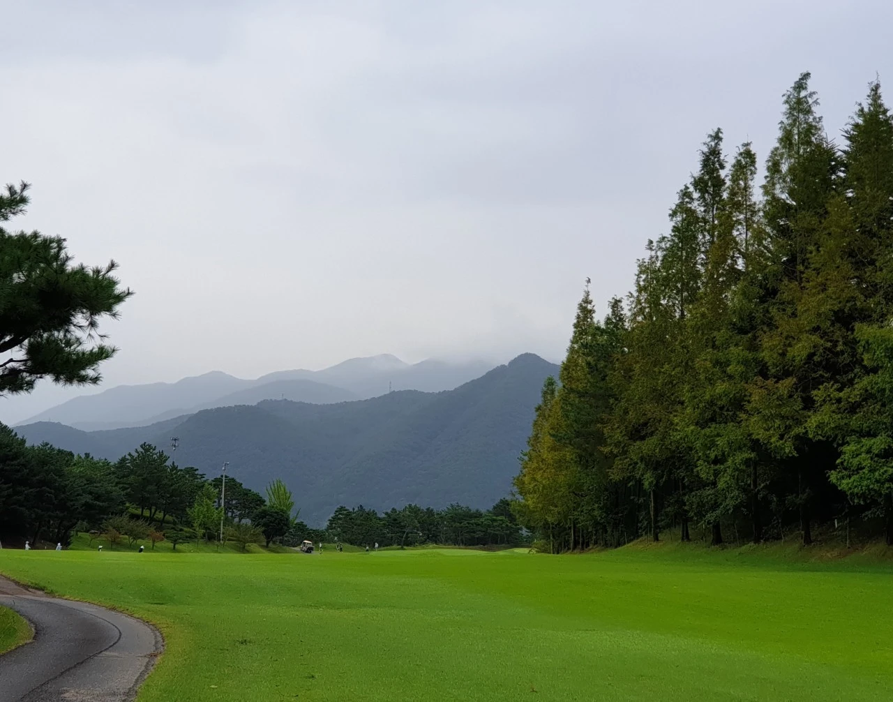 i_51cUd018svci9je5gqm6dz7_e9765c.jpg?type=e1920_std