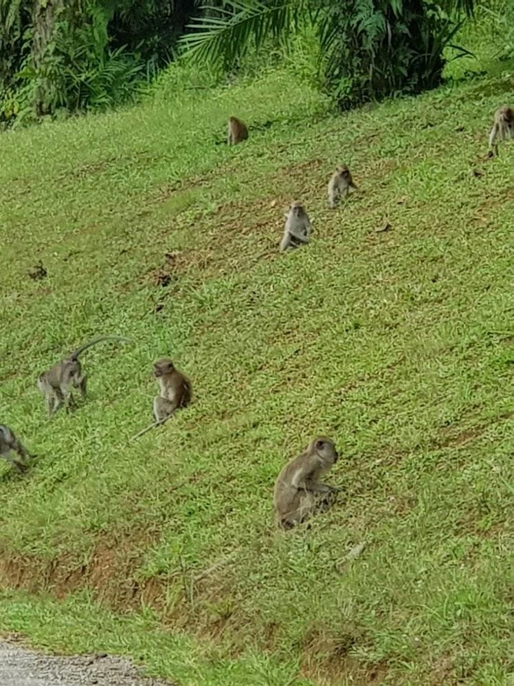 9_26bUd018svc1r0in9m85xgru_hbsmgu.jpg?type=e1920_std