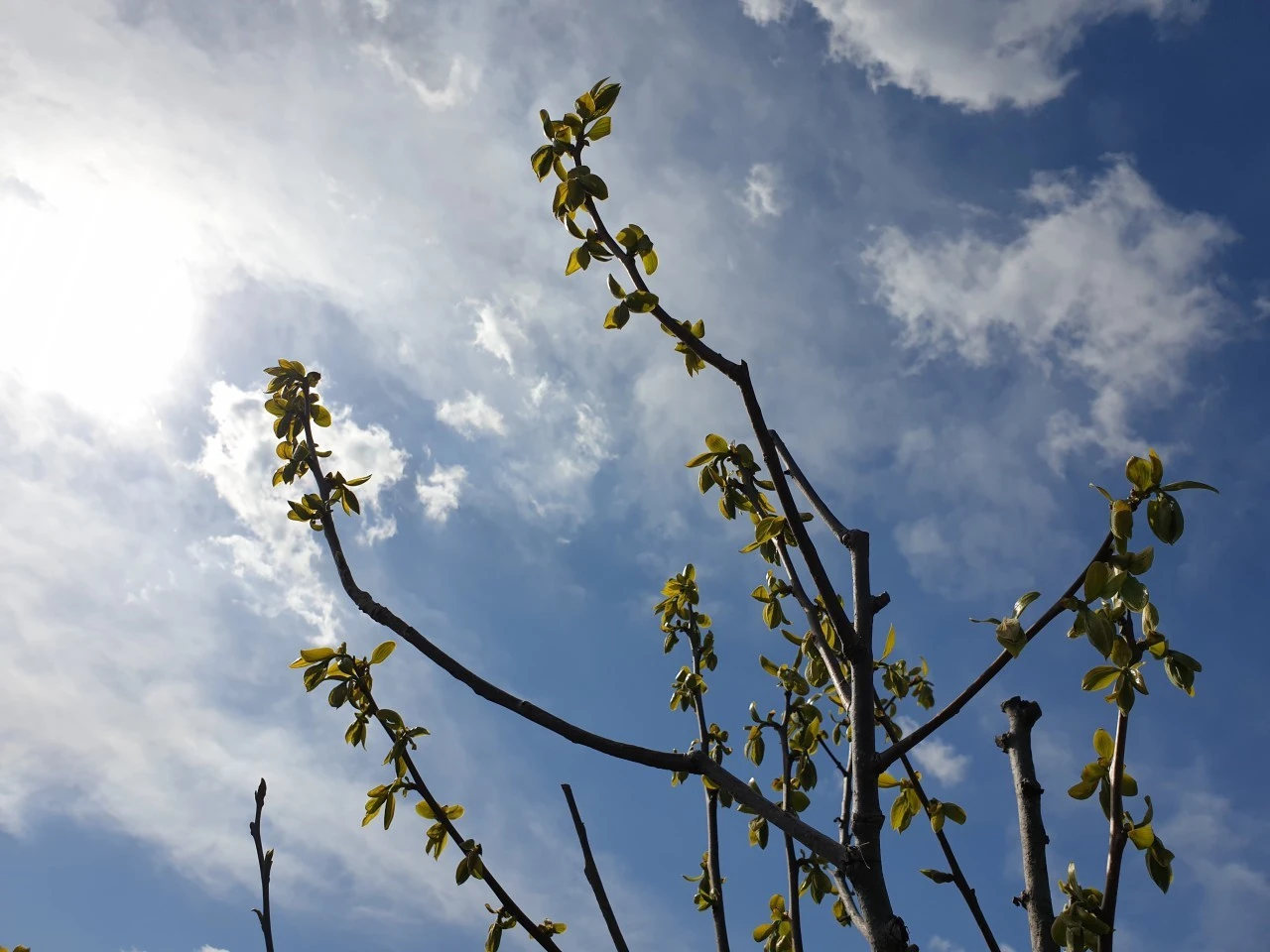 8_fjaUd018svcaa4bc49xakkz_e9765c.jpg?type=e1920_std