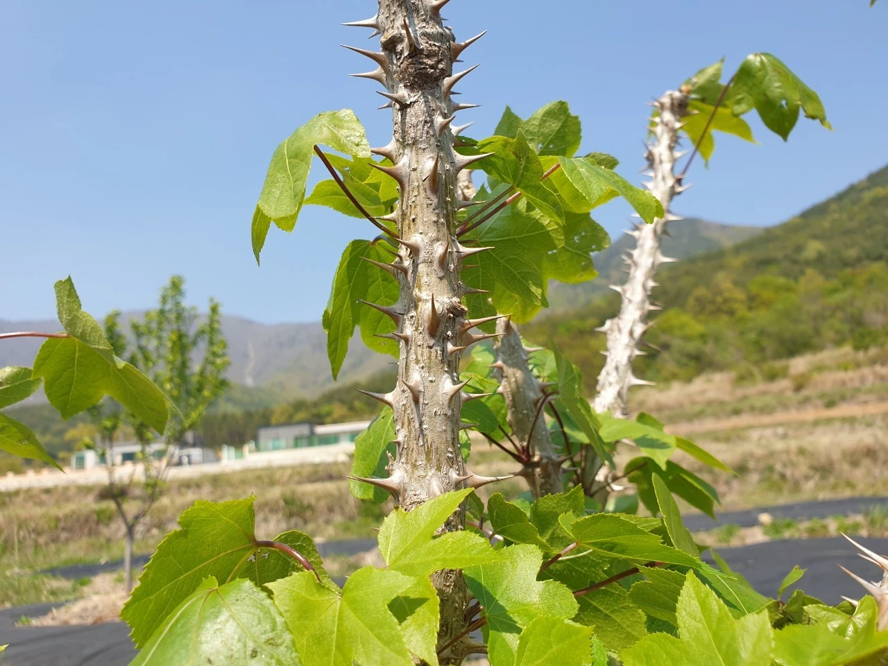 2_070Ud018svc18cmo3mmp9iz4_e9765c.jpg?type=e1920_std