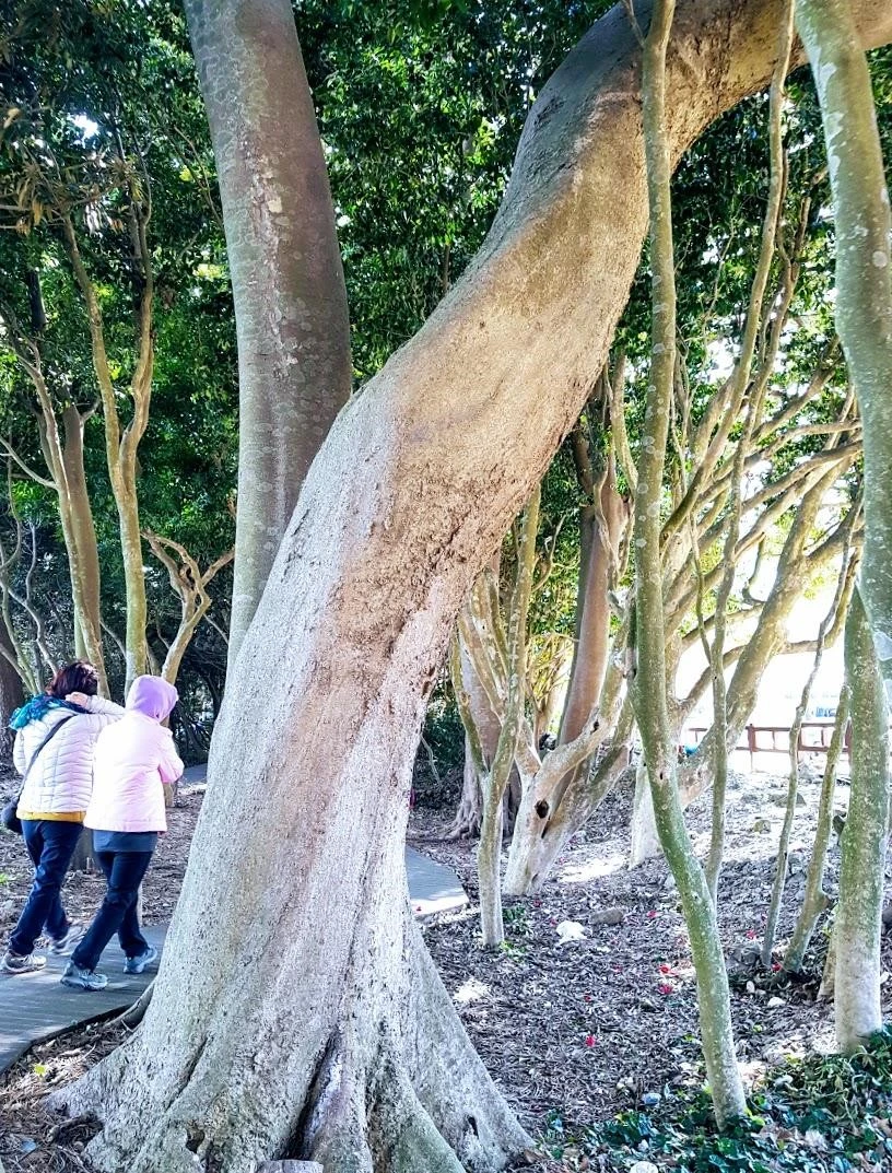 0_841Ud018svc152bdol1tbyli_hnkuwi.jpg?type=e1920_std