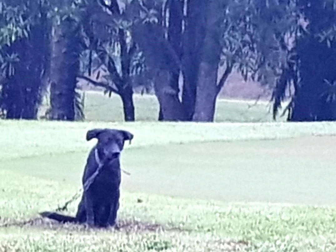 6_j6aUd018svcovjedlt5vjib_mv7xut.jpg?type=e1920_std