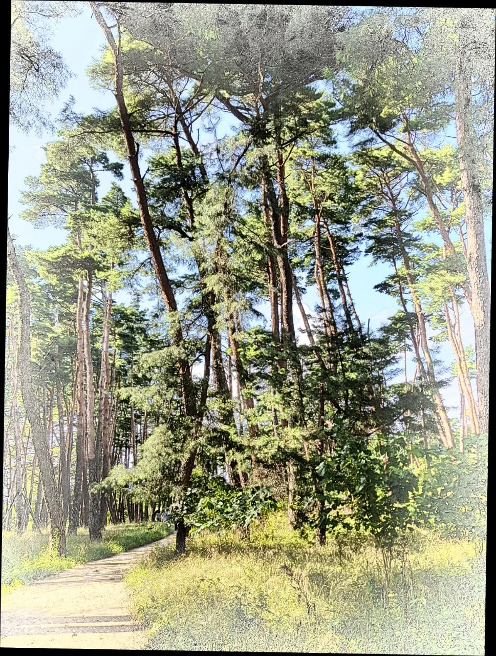 f_0h9Ud018svc1w4605iaapk6z_bnmutt.jpg?type=e1920_std