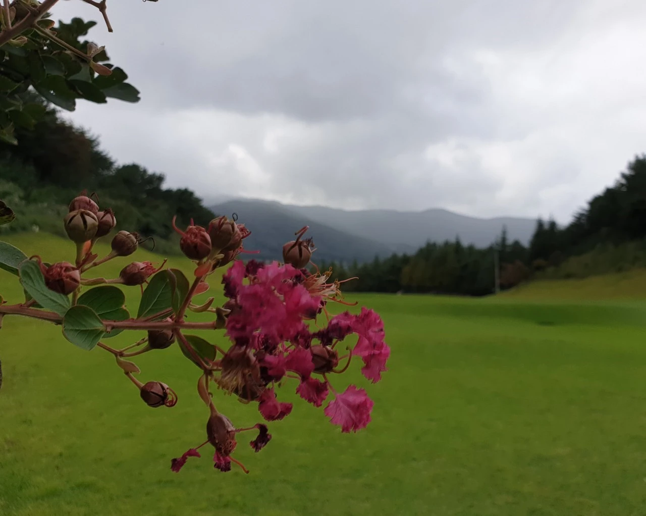 g_b1cUd018svcsdxio4gb7fsd_e9765c.jpg?type=e1920_std