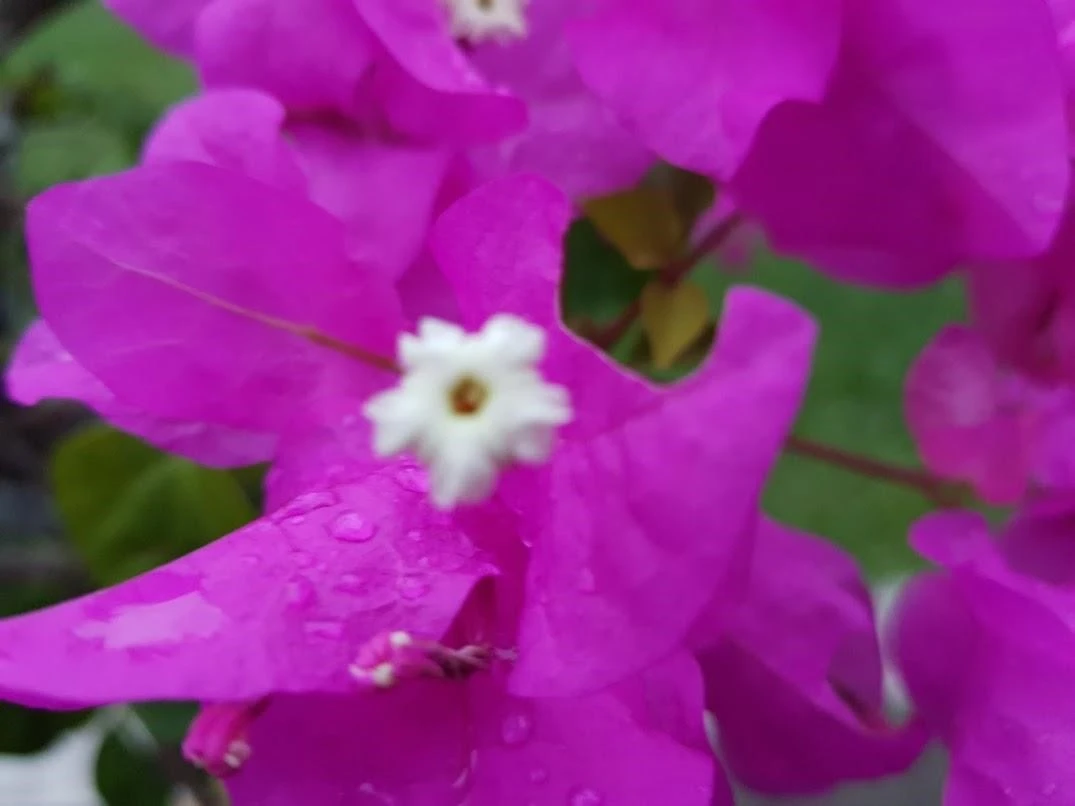 g_b4aUd018svc4h4u01raq7mx_8nw59j.jpg?type=e1920_std