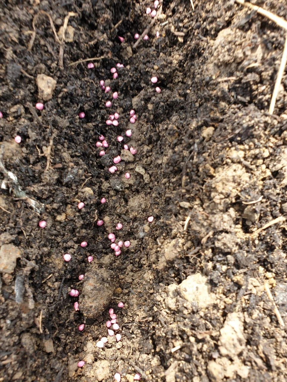 0_ejaUd018svc100kbgwfaw1s0_e9765c.jpg?type=e1920_std