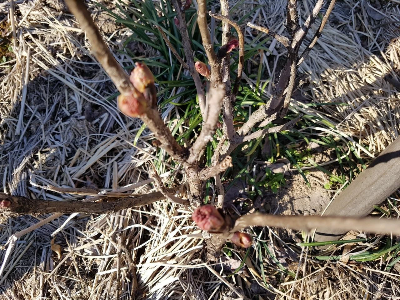 7b7Ud016svcs2sgas5qz002_9os553.jpg?type=e1920_std