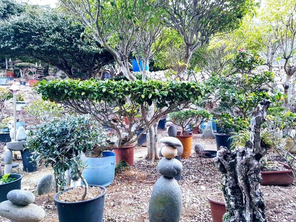 a_2h3Ud018svc18ysgftl28ept_q3vekw.jpg?type=e1920_std