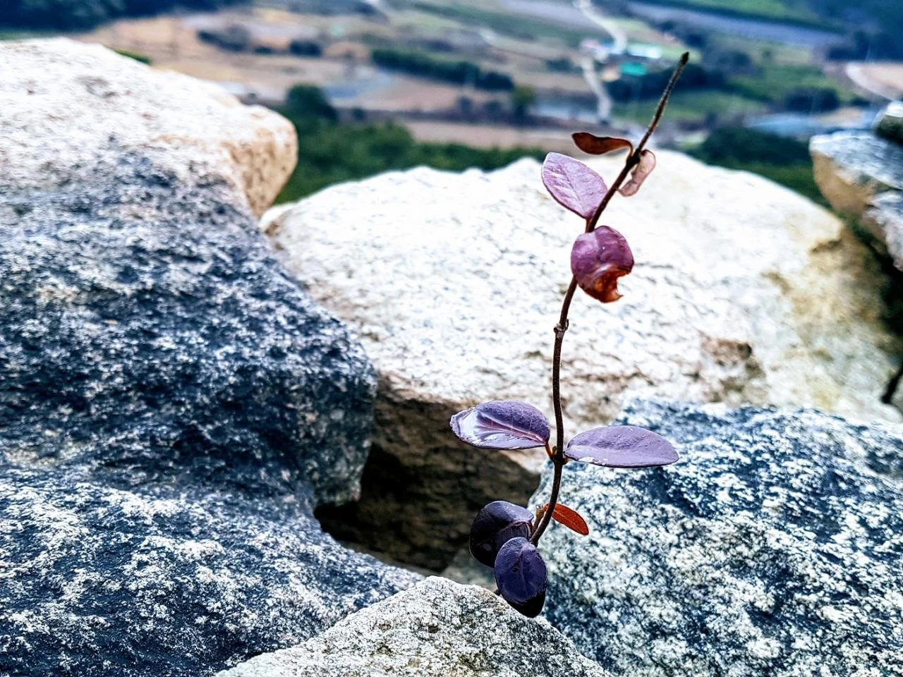 f3bUd017svc49o6din359bf_aad357.jpg?type=e1920_std