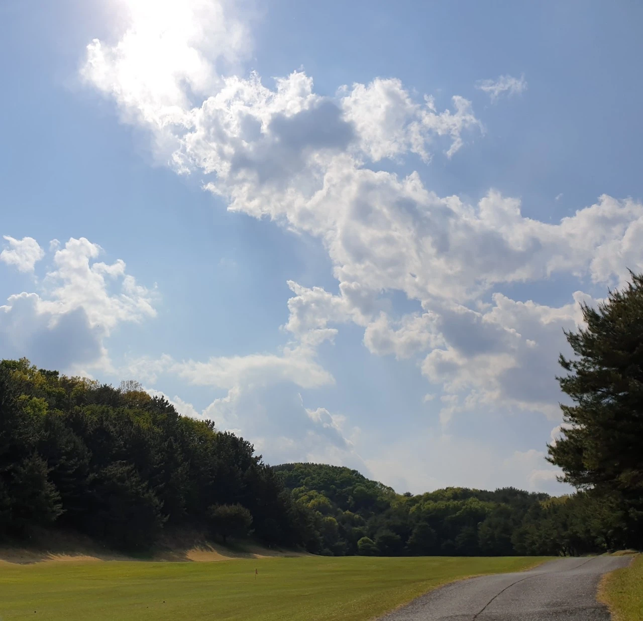 8_dh7Ud018svc4qqs8ujpme2h_e9765c.jpg?type=e1920_std