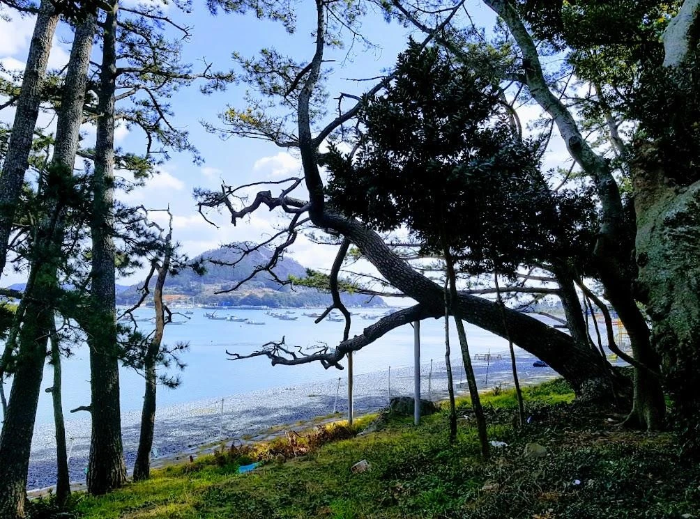 5_484Ud018svcd0255h4avpcn_dwa157.jpg?type=e1920_std