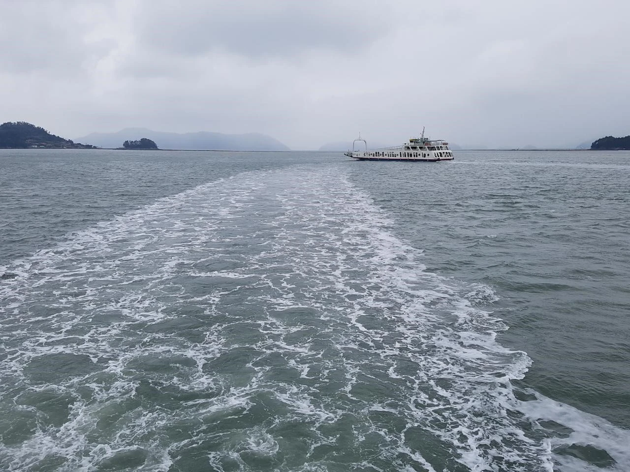 1_06fUd018svc1mdwy54o87kqk_bnmutt.jpg?type=e1920_std