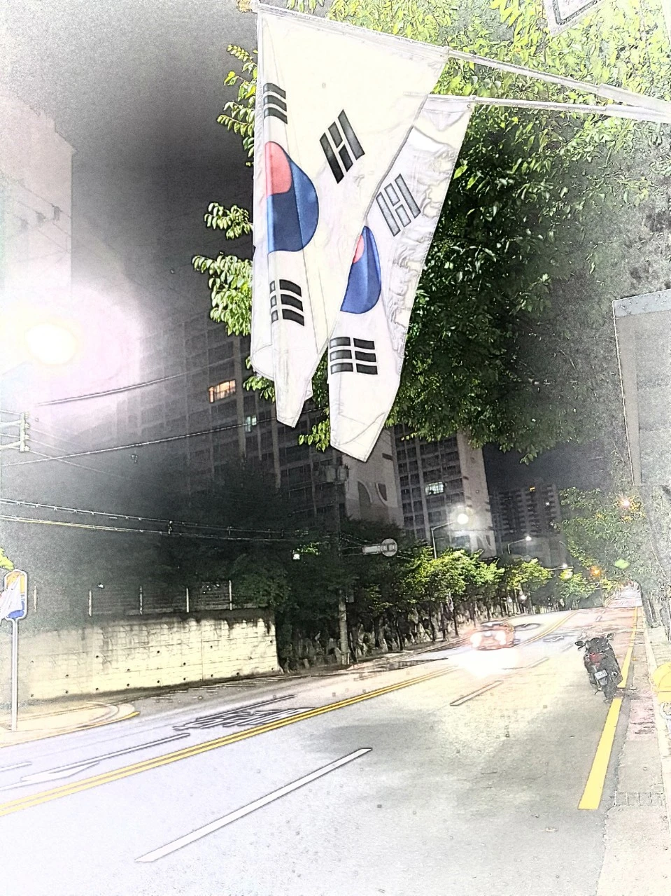 3_7jfUd018svcgd2xgmln21hh_bnmutt.jpg?type=e1920_std