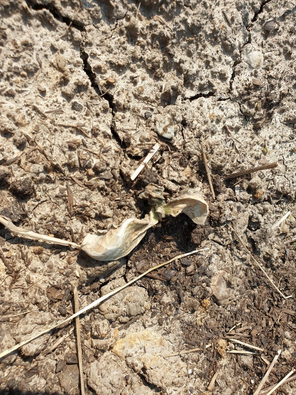 2_b70Ud018svchtnmeghyg4vo_e9765c.jpg?type=e1920_std