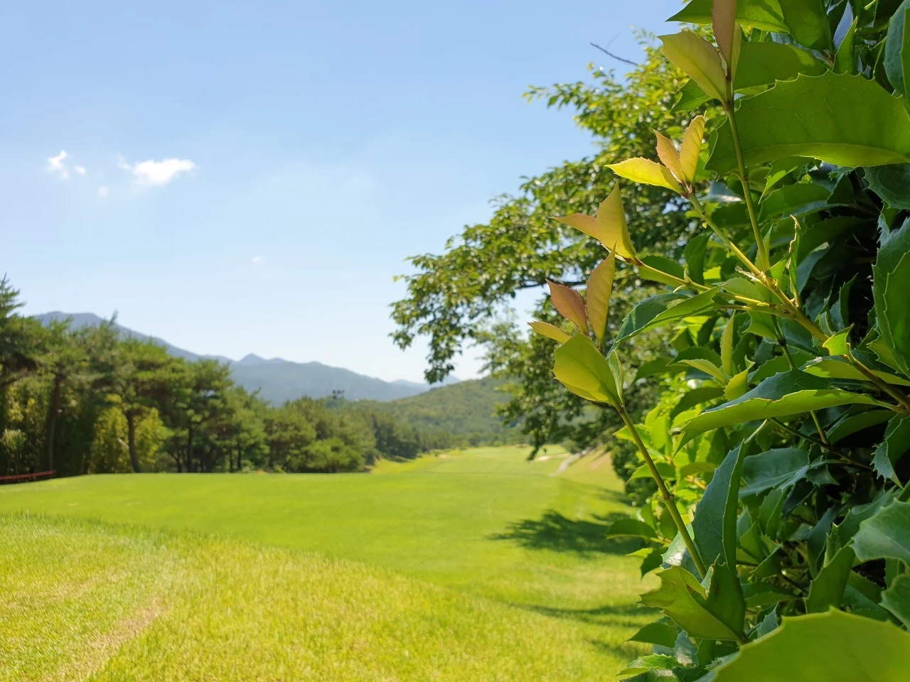 f_3bfUd018svc1lftm22zvxcvr_e9765c.jpg?type=e1920_std