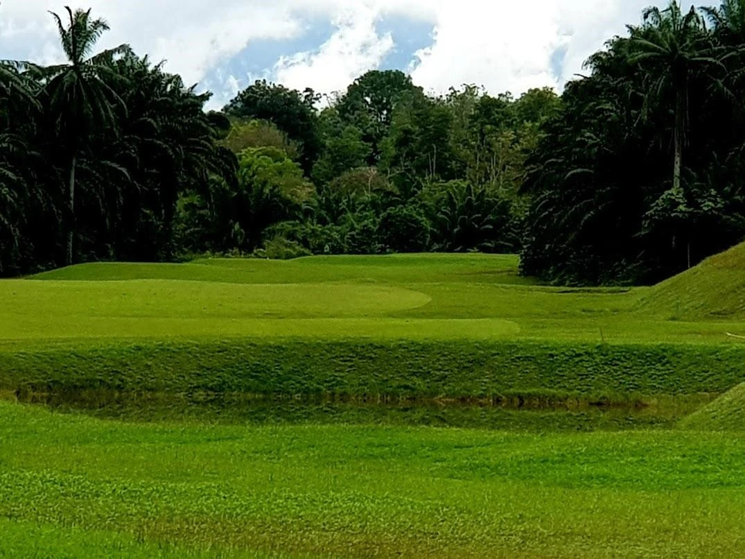 a_662Ud018svc2ecdduumamdd_n8fums.jpg?type=e1920_std