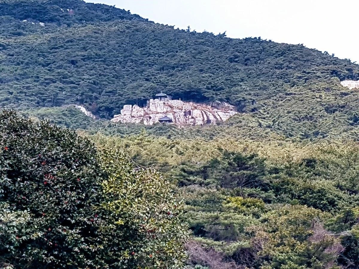 c32Ud017svc1eq1z4fy15j59_k4hvjf.jpg?type=e1920_std