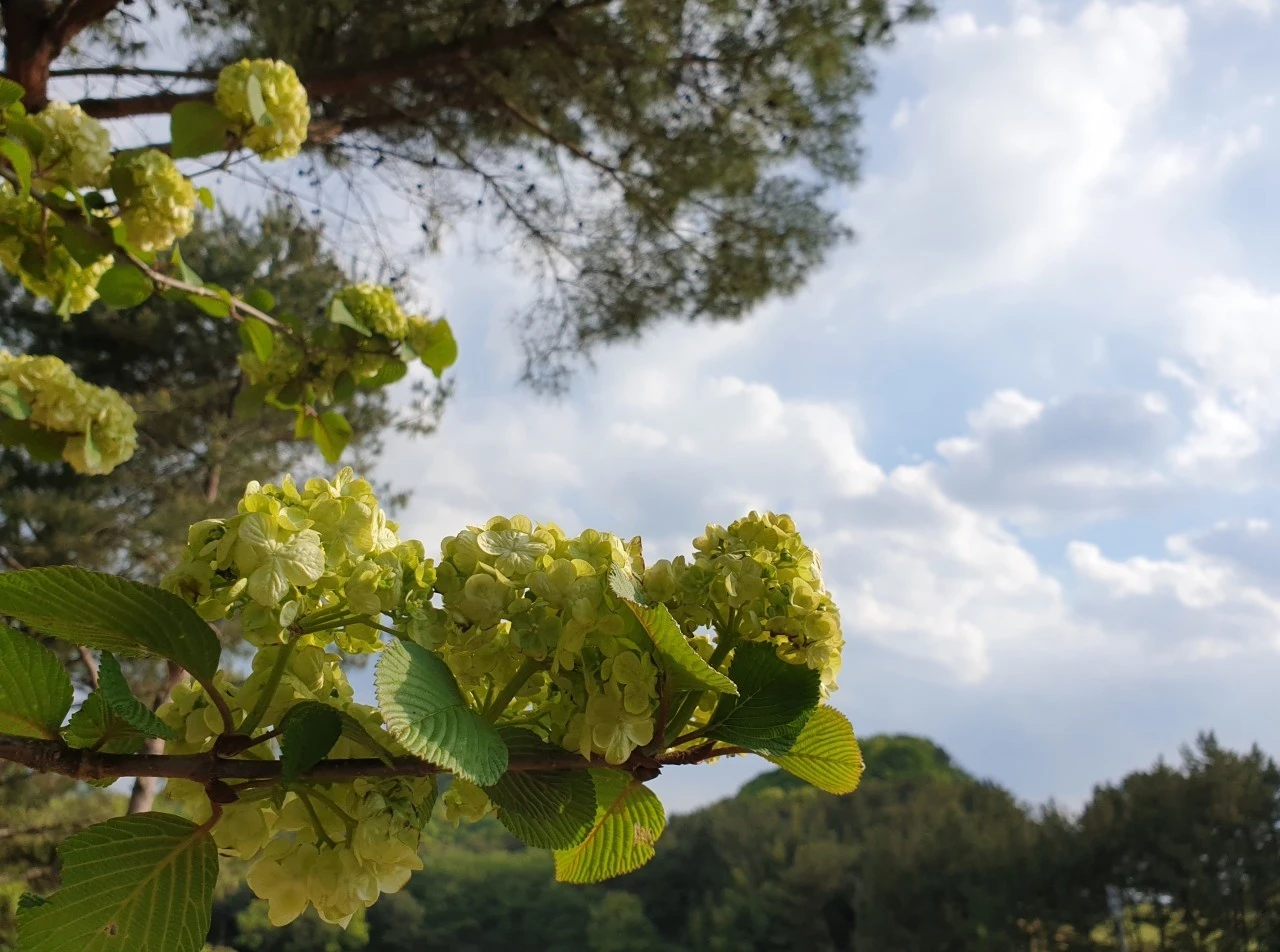 a_4h7Ud018svcc4hjms01b12n_e9765c.jpg?type=e1920_std