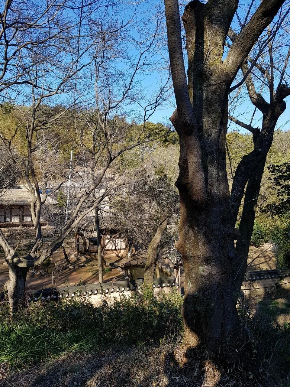 4d8Ud016svczhjkh8ls22ak_8m41r1.jpg?type=e1920_std