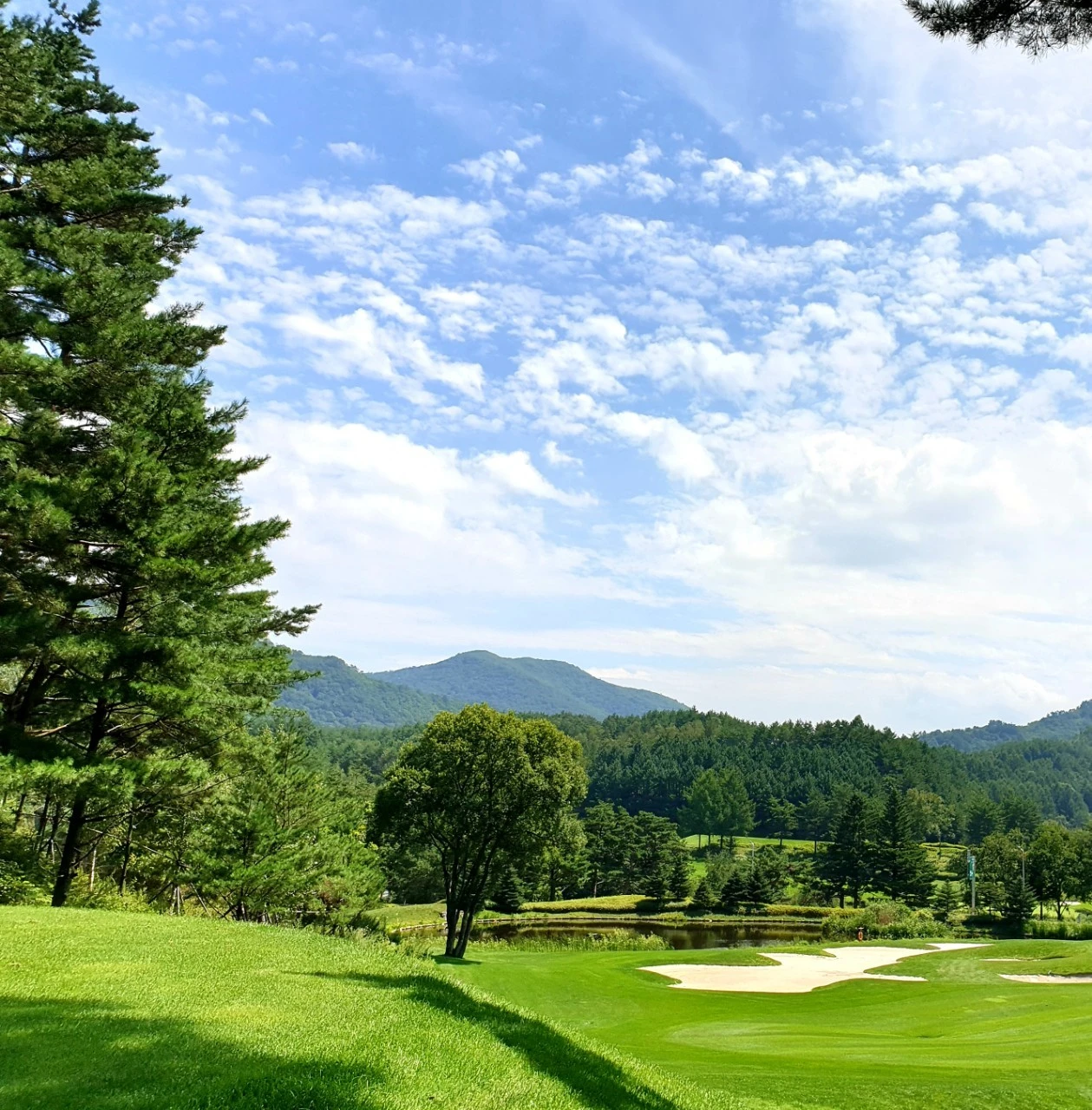 3_89fUd018svc9c22d48fzqt_e9765c.jpg?type=e1920_std