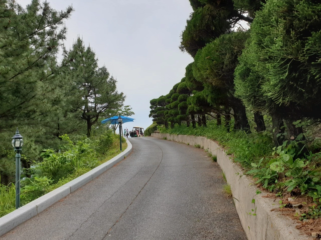 g_ga6Ud018svc1vzu3wfpp6h32_e9765c.jpg?type=e1920_std