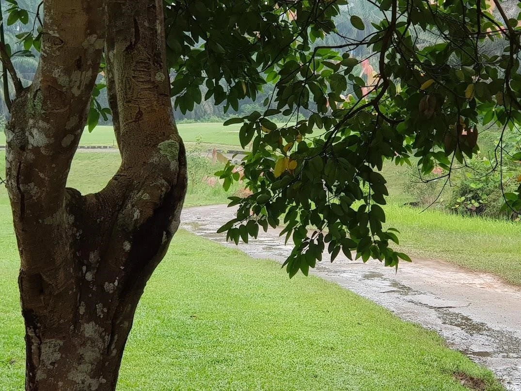 a_155Ud018svckvtbui85vfs0_ex9rhv.jpg?type=e1920_std