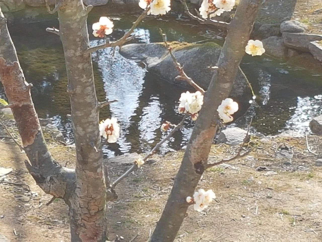 611Ud016svcv5h6us4cjl8s_fvmdva.jpg?type=e1920_std