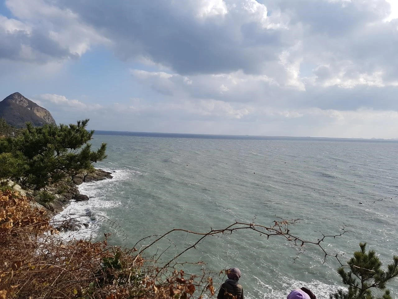 f_aj6Ud018svc185efq6fwjs8u_bnmutt.jpg?type=e1920_std