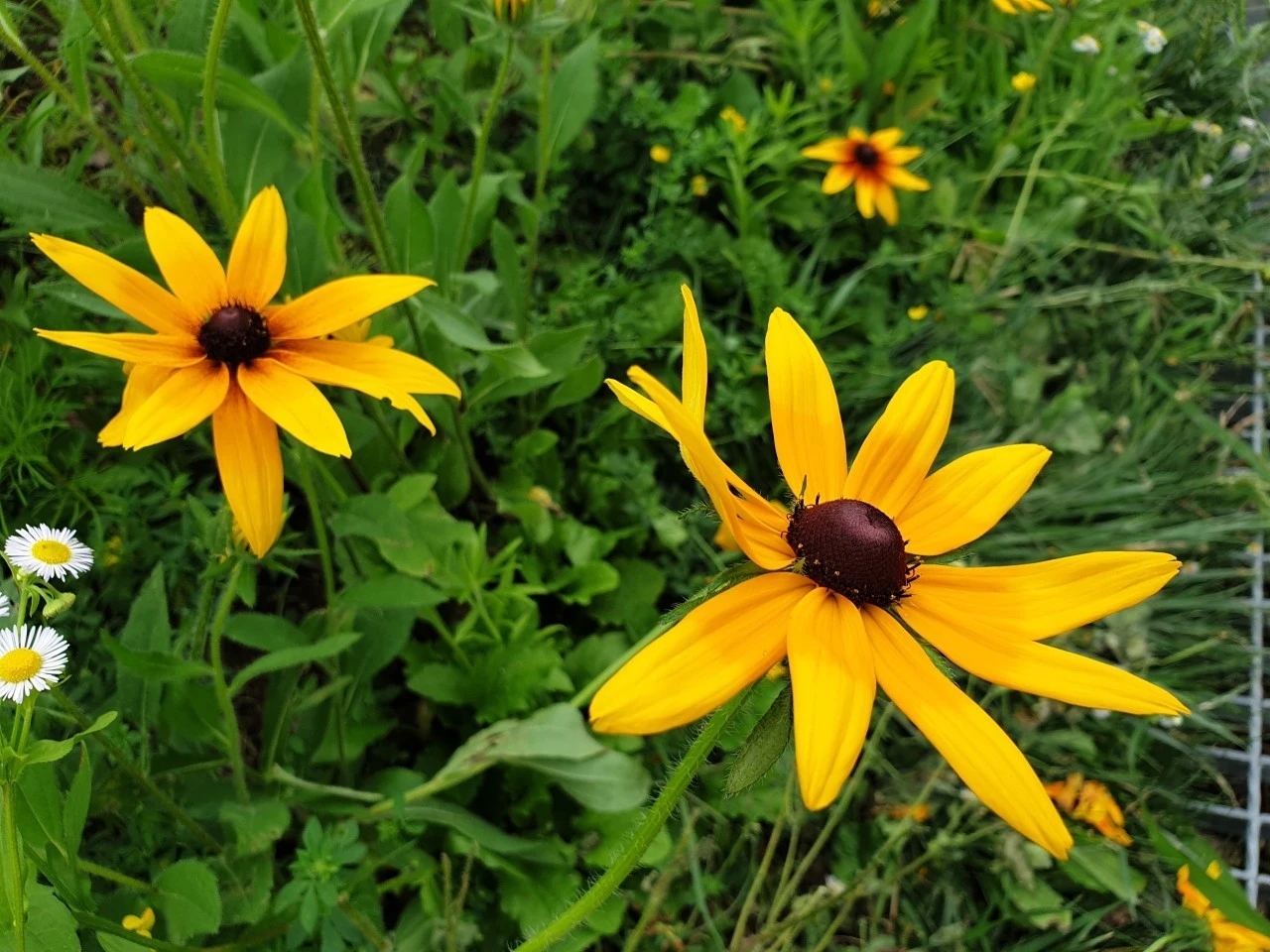 a_cj2Ud018svc15v5ezwxm8e9s_e9765c.jpg?type=e1920_std