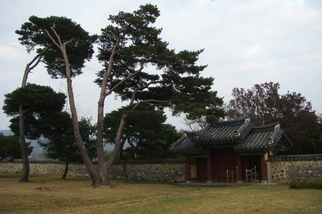 j_62hUd018svc4woad2gjh2sv_e9765c.jpg?type=e1920_std