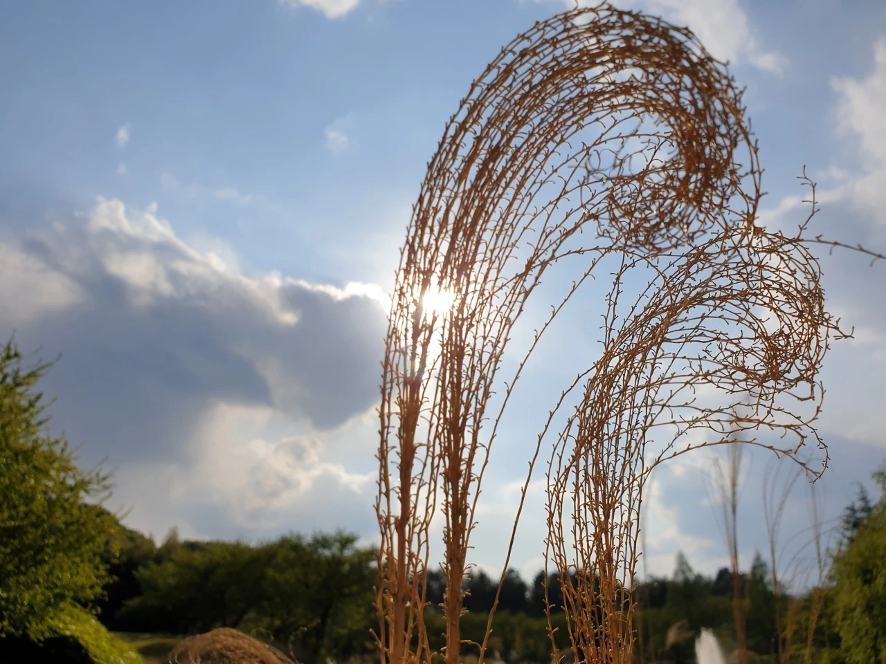 b_0h7Ud018svckwsvii6wt18u_e9765c.jpg?type=e1920_std