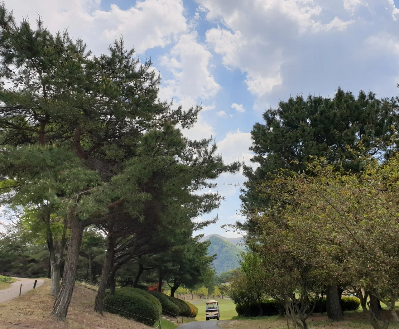 a_05cUd018svc1p931nswfnogn_e9765c.jpg?type=e1920_std