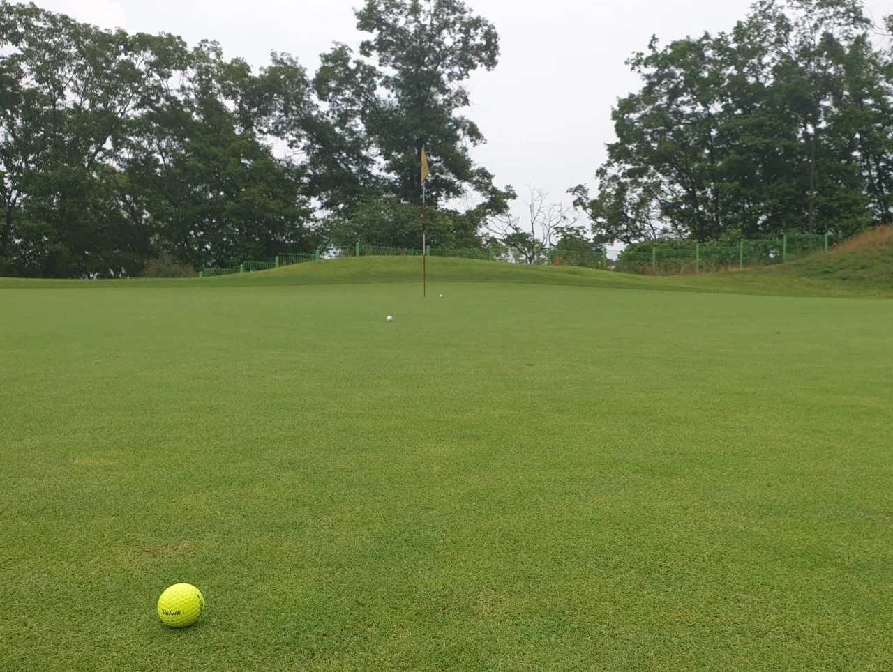 7_ij2Ud018svcuvq88gioxtzp_e9765c.jpg?type=e1920_std