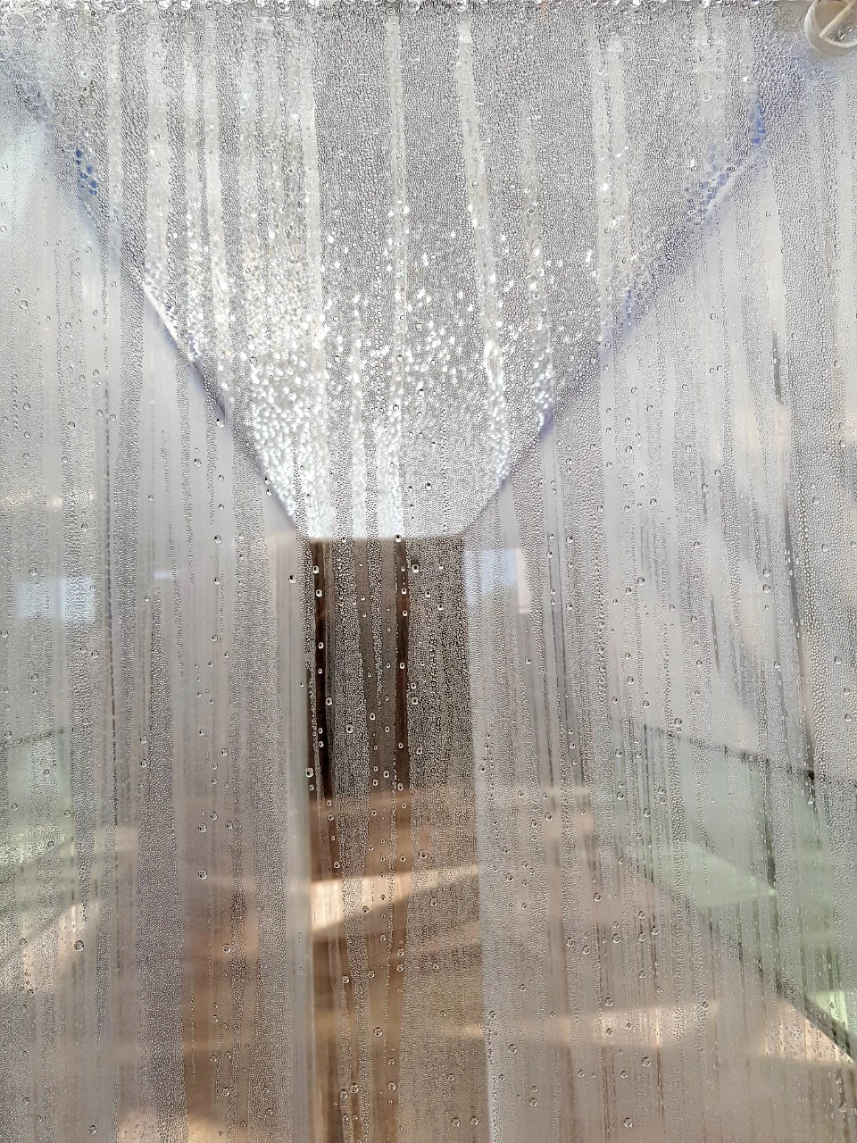 b_5e7Ud018svcldg8wsww5iry_bnmutt.jpg?type=e1920_std