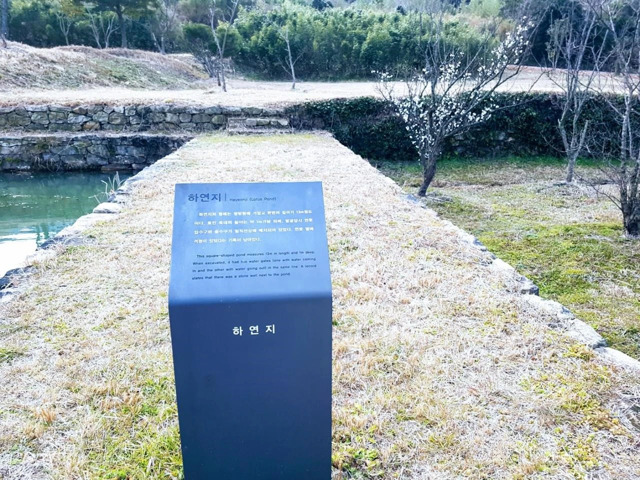 420Ud017svcbn4fzpz388k_1t3lji.jpg?type=e1920_std