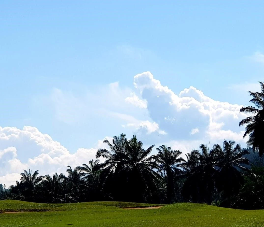 g_g6fUd018svc1c7scqfy5gs1c_trw2ti.jpg?type=e1920_std