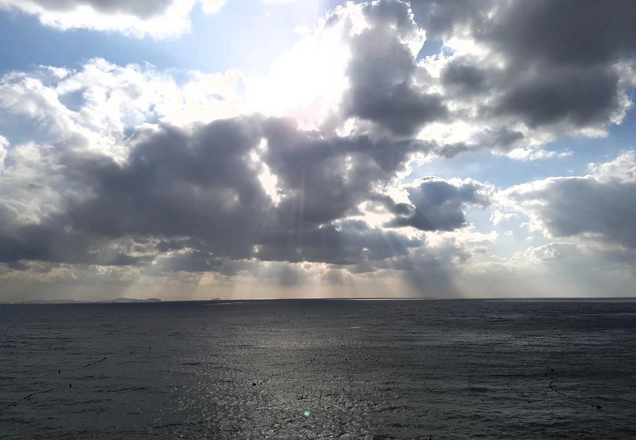 6_513Ud018svcbxpcpjs8uood_rat9jv.jpg?type=e1920_std