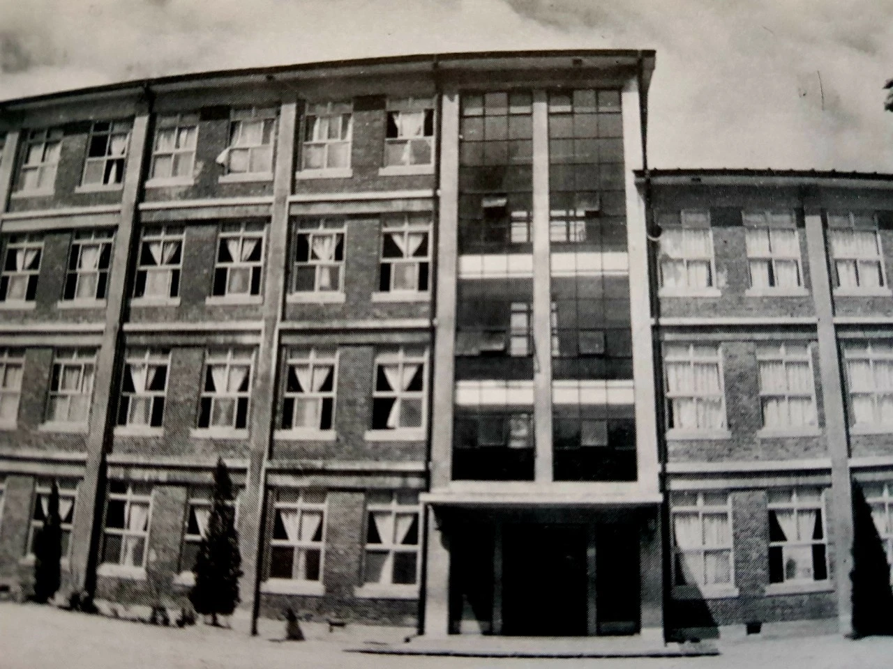 j_fjgUd018svcadj0j39w6vii_bnmutt.jpg?type=e1920_std