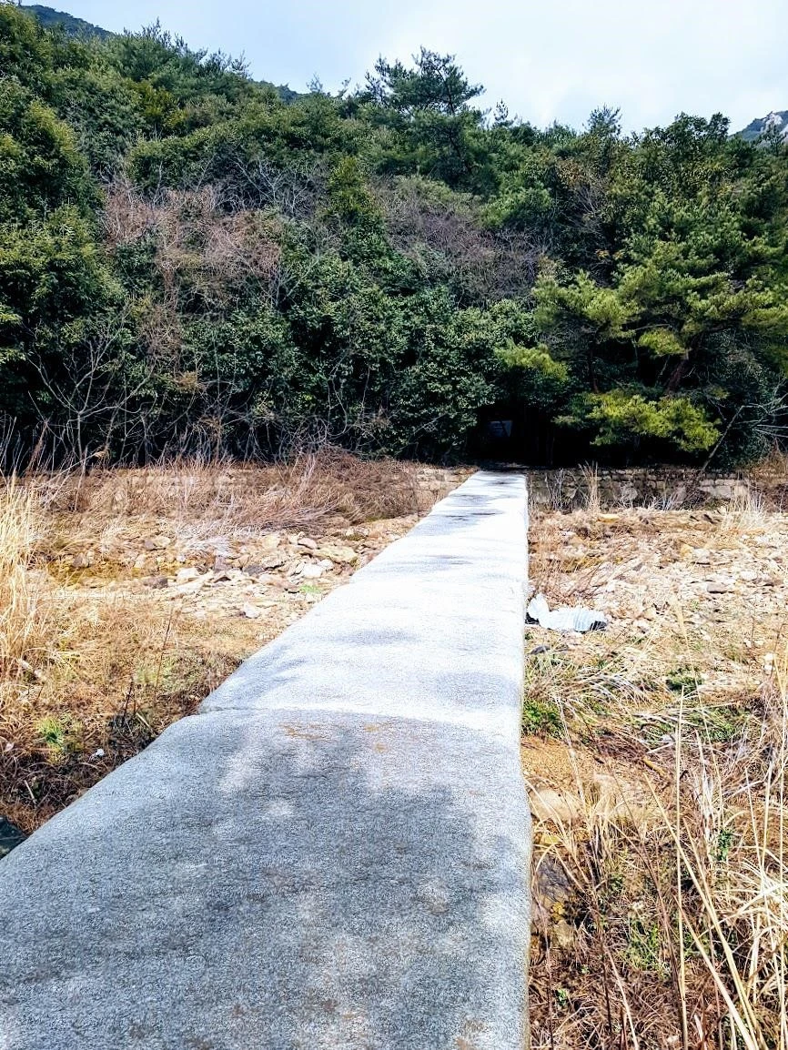 d5aUd017svcy45di0jcrdup_i789kt.jpg?type=e1920_std